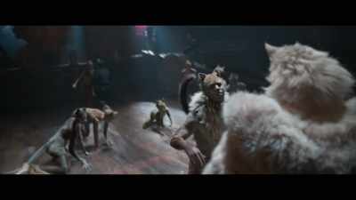 It's party time - Cats