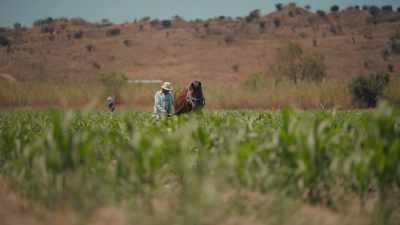 It's perfect to come back to - Eva Longoria: Searching for Mexico