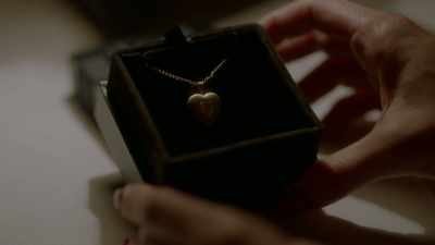 It's perfect. - True Lies