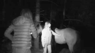 It's possible that maybe
whatever came in - Expedition Bigfoot