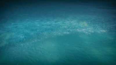 It's possible that their
ancient ancestors evolved - Cosmos: Possible Worlds