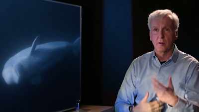 It's even possible that they're
giving themselves names - Secrets of the Whales