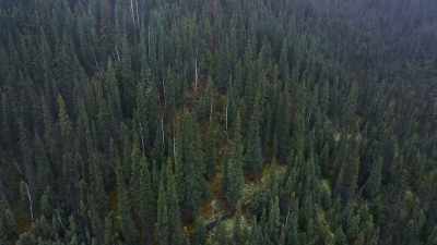 It's pretty safe to say
this is a place I can - Life Below Zero: Next Generation