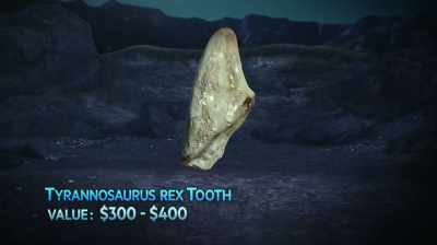 IT'S PROBABLY A 300,
$400 TOOTH. - Dino Hunters