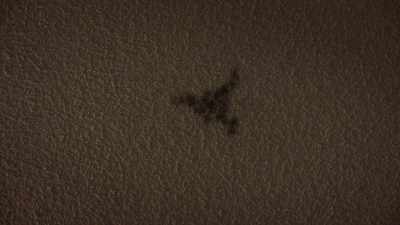 It's probably black mold
slowly poisoning us. - Kidnapping in the Grand Canyon