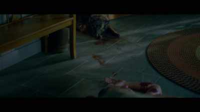 -It's probably from the dog.
-It's bigger than that. - Gerald's Game