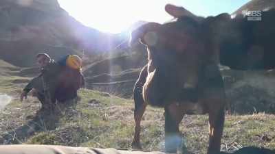 It's probably Snoop Dogg.
Snoop Dogg? (LAUGHS) - From Russia to Iran: Crossing Wild Frontier