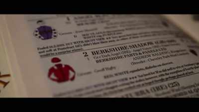 It's really difficult. You don't know
how strong the field's going to be, - Horsepower