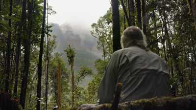 It's really exciting to me
that the cliff itself has ledges, - Explorer: The Last Tepui