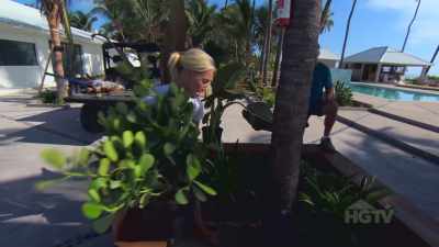 It's really going to
change the look and feel, - Island of Bryan