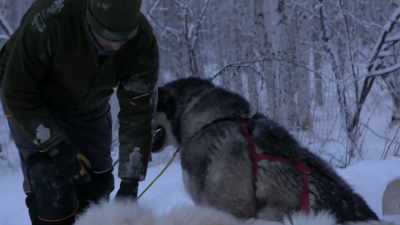 It's really special to see
these guys subjected to - Life Below Zero: Next Generation