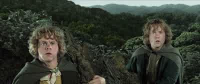 It's Saruman's army. - The Lord of the Rings: The Two Towers