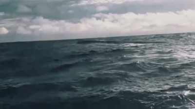 It's semi‐submersed
in the water. - Drug Lords: The Next Generation