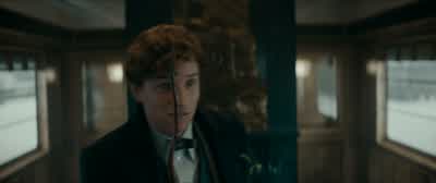 It's snakewood. - Fantastic Beasts: The Secrets of Dumbledore