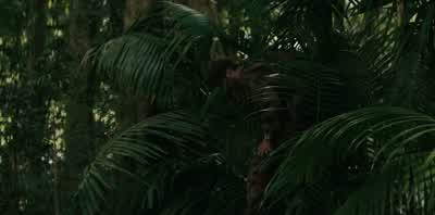 It's so fucking hot. - Primitive War