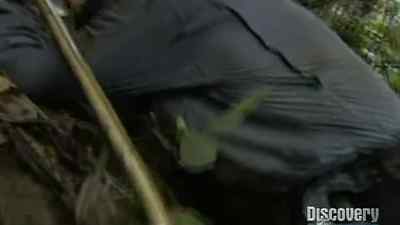 IT'S SO HARD GETTING UP. - Man vs. Wild