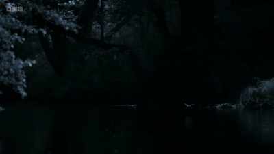 It's soon clear why Daubenton's bats - Wild Isles