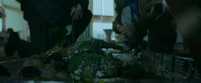 - It's still breathing.
- It's a dog. - Brain Freeze