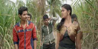 It's sugarcane here.
Banana on the other side. - Sairat