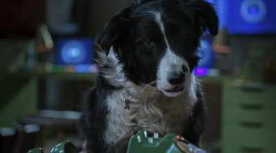 - It's talking.
- What's the matter with you? - Cats & Dogs 3: Paws Unite