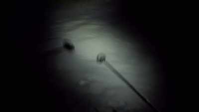 It's terrifying. - Kilian Jornet, Path to Everest