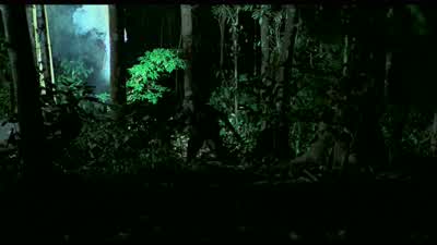 It's the ambush. - Platoon