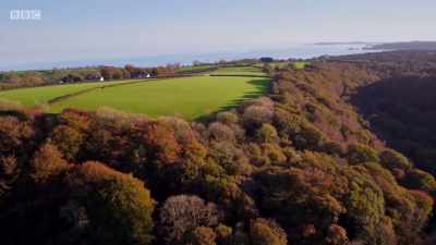 It's the beginning of autumn. - Wales: Land of the Wild