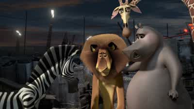 It's the fuzzWhat are we gonna do We can't hide forever - Madagascar 3: Europe's Most Wanted