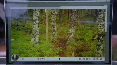 It's the ideal spot for species
to go unnoticed - The Alaska Triangle