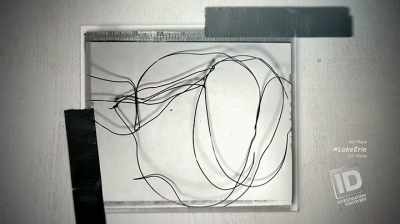 IT'S THE SAME
MIG WELDING WIRE - The Lake Erie Murders