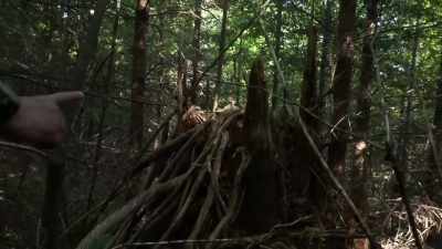 It's the thick side up,
lean side down. - Expedition Bigfoot