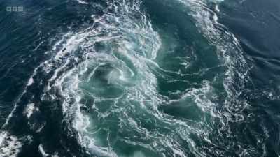 It's the third largest
whirlpool in the world. - Wild Isles