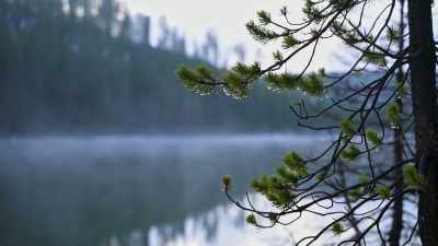 It's the true spirit
of an explorer, - Yellowstone: One-Fifty