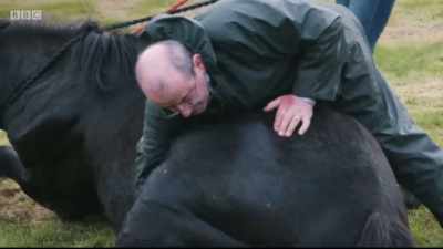 It's the worst possible scenario. - Mountain Vets