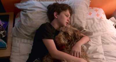It's the worst thing
that could happen to a family. - Think Like a Dog