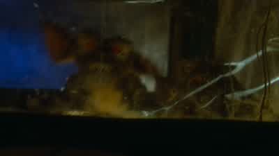 - It's them! - Gremlins