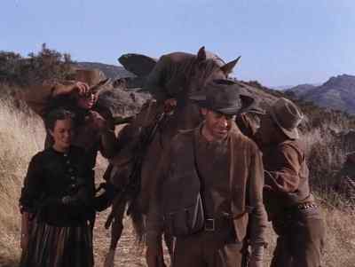 It's there, just ahead of us! - Ambush at Tomahawk Gap