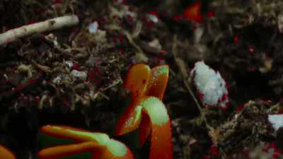 It's there to tempt us
with its sweet taste. - Rejected