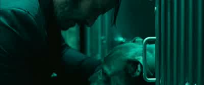 It's okay. - John Wick