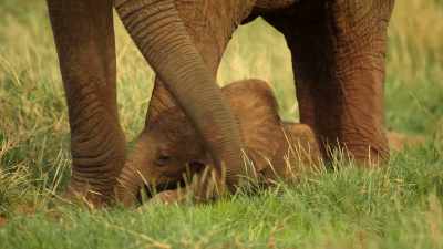 It's time to go. - Wild Babies