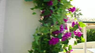 It's time for me to get back to basics, - Cassino in Ischia