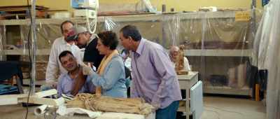 It's too big for a lynx, - Secrets of the Saqqara Tomb