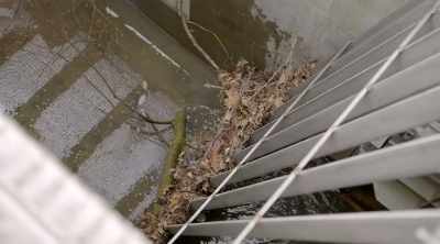 It's trapped by these gates,
and needs to be removed
so the creek doesn't overflow. - Sewer Divers