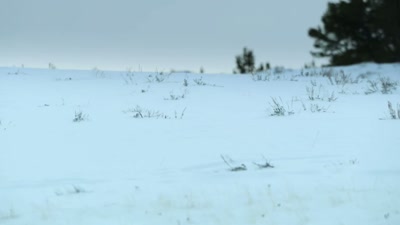 'It's trial... and error. - A Year on Planet Earth