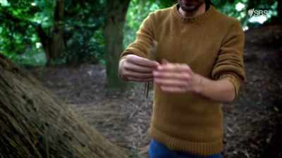 It's turned into really dry,
effective thatch. - Curse of the Ancients with Alice Roberts
