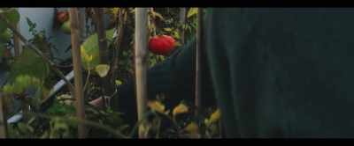 It's unbeatable to grow
food on your roof. - 2040