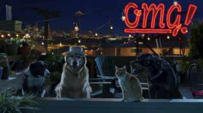 It's up to us to find
him or her, cat or dog. - Cats & Dogs 3: Paws Unite