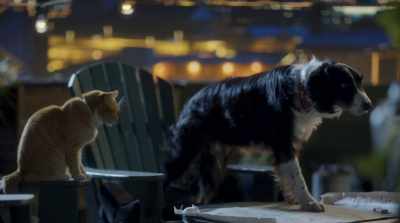 - It's up to us now.
- Nope. We're analysts. - Cats & Dogs 3: Paws Unite
