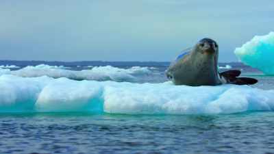 It's up to us to protect it, - Our Great National Parks