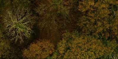 It's vast and fear-tangled... - Moonhaven